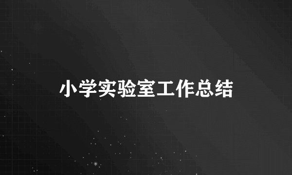 小学实验室工作总结
