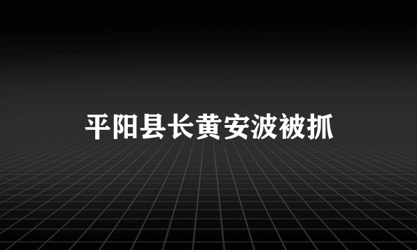 平阳县长黄安波被抓