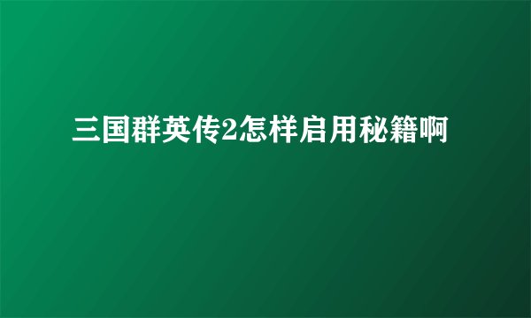 三国群英传2怎样启用秘籍啊