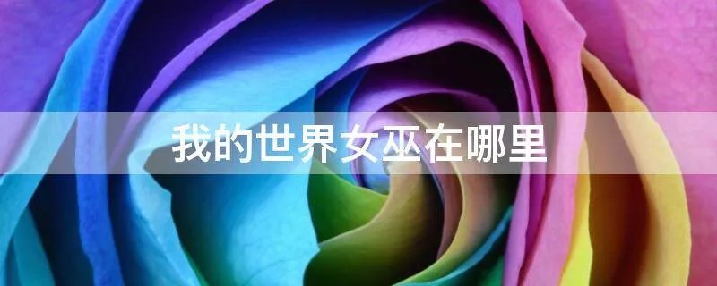 我的世界女巫在哪里