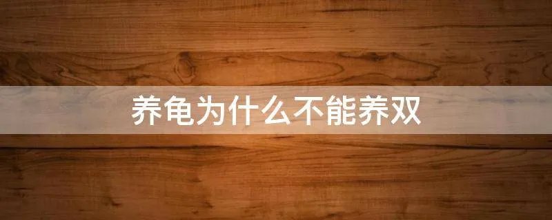养龟为什么不能养双