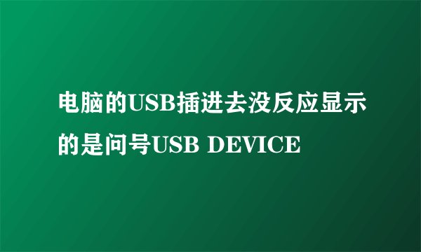 电脑的USB插进去没反应显示的是问号USB DEVICE
