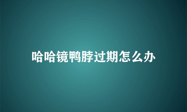 哈哈镜鸭脖过期怎么办