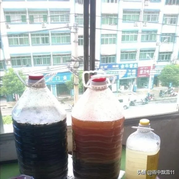 家庭养花自制花肥的办法有哪些?