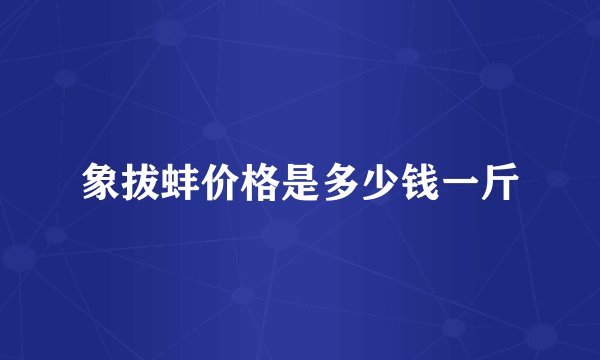 象拔蚌价格是多少钱一斤