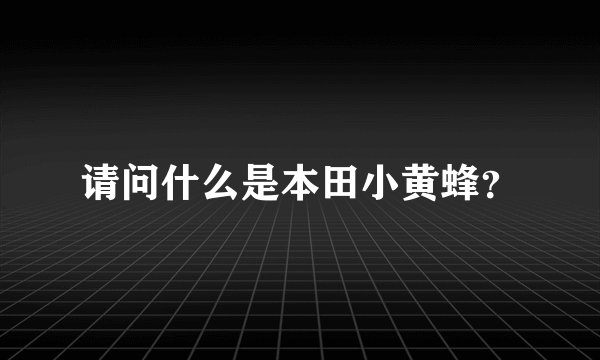 请问什么是本田小黄蜂？