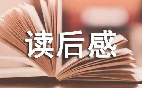 小桔灯的读后感