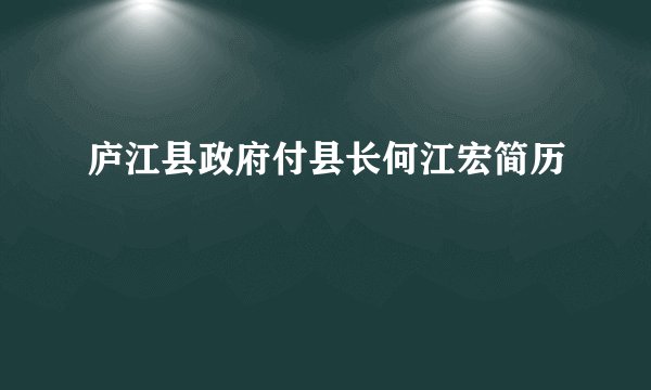 庐江县政府付县长何江宏简历