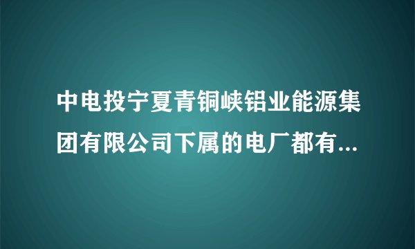 中电投宁夏青铜峡铝业能源集团有限公司下属的电厂都有哪些?效益怎么样?工资怎么样?求具体点的解答~？