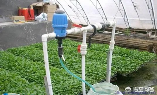 水溶肥料替代复合肥的理由是什么?