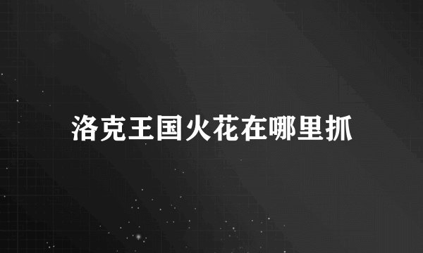 洛克王国火花在哪里抓