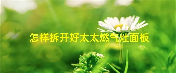 怎样拆开好太太燃气灶面板
