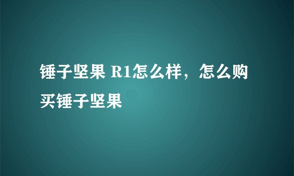 锤子坚果 R1怎么样，怎么购买锤子坚果