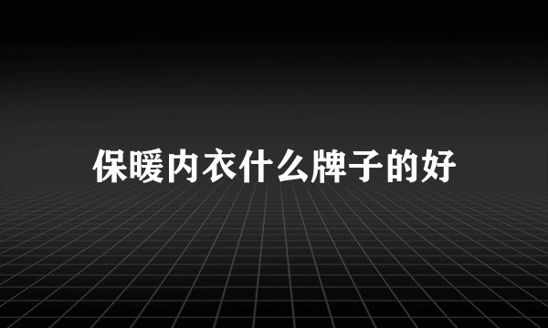 保暖内衣什么牌子的好