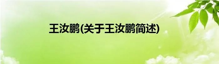 王汝鹏(关于王汝鹏简述)