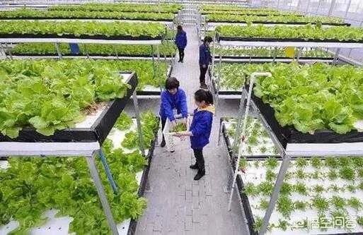 农业科技创新?