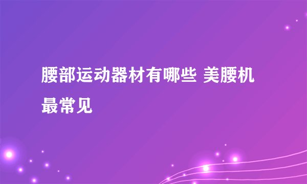 腰部运动器材有哪些 美腰机最常见