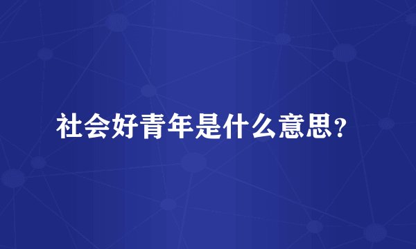 社会好青年是什么意思？