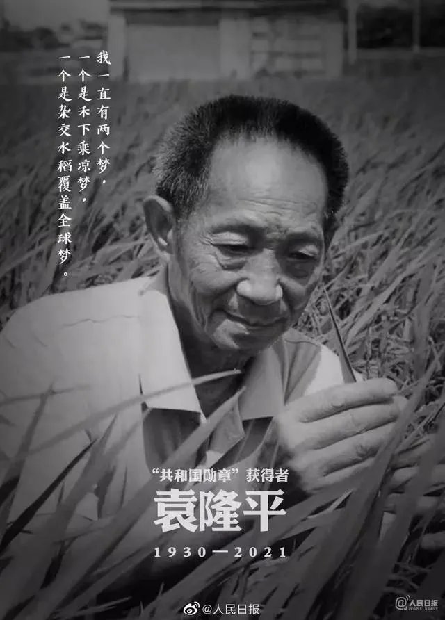 如何评价袁隆平的一生？