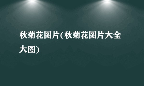 秋菊花图片(秋菊花图片大全大图)