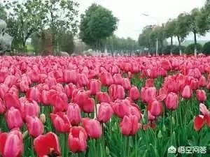 千江有水千江月，万里无云万里天，怎样理解这句话？