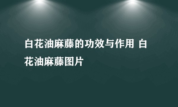 白花油麻藤的功效与作用 白花油麻藤图片
