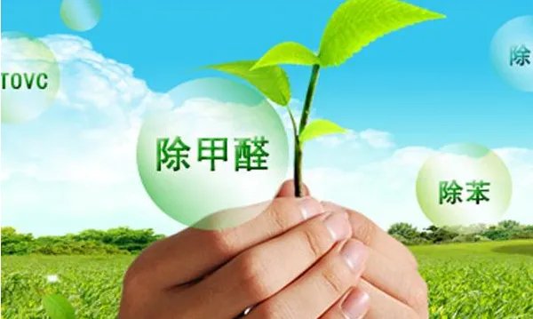 除甲醛十大品牌都是哪些?