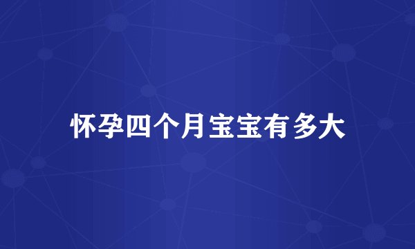 怀孕四个月宝宝有多大