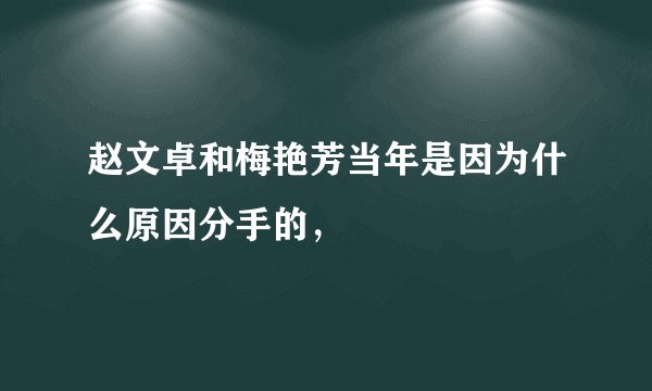 赵文卓和梅艳芳当年是因为什么原因分手的,