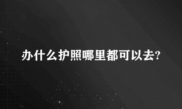 办什么护照哪里都可以去?