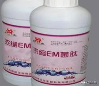 长期保存菌种的方法?