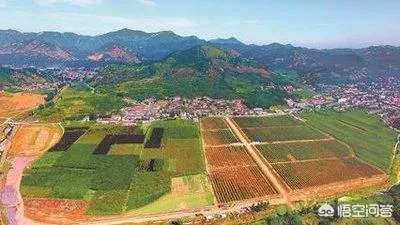 水溶肥料替代复合肥的理由是什么?