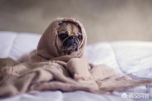 大家分享一下最搞笑的头像图片？