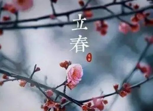 什么时候立春