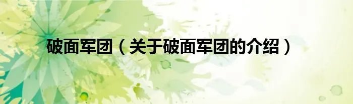 破面军团（关于破面军团的介绍）