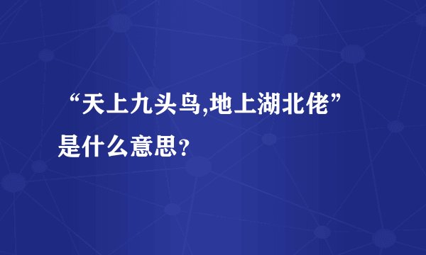 “天上九头鸟,地上湖北佬”是什么意思？