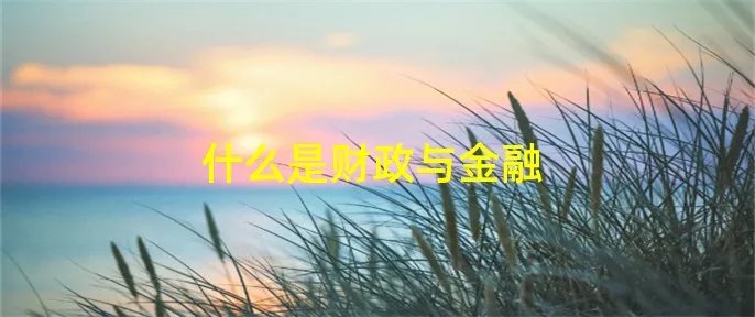 什么是财政与金融