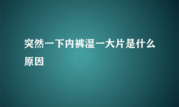 突然一下内裤湿一大片是什么原因