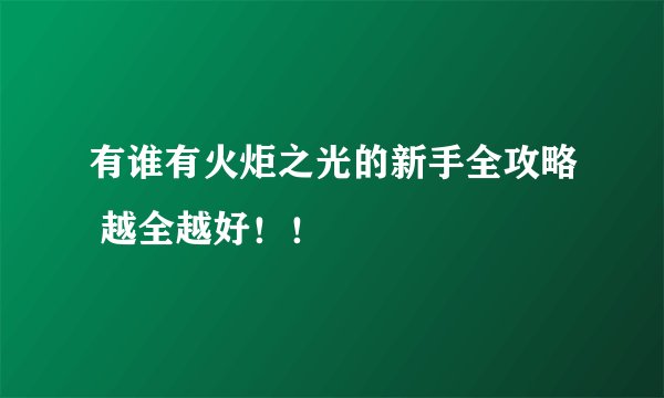 有谁有火炬之光的新手全攻略 越全越好!!