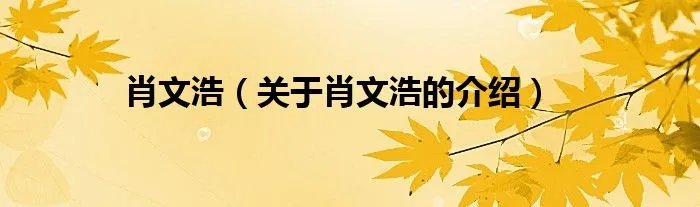 肖文浩（关于肖文浩的介绍）
