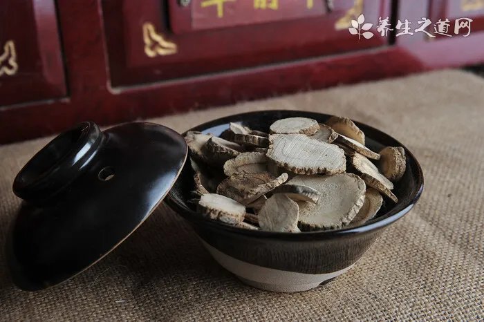 羊蹄根治疗反复性鼻衄