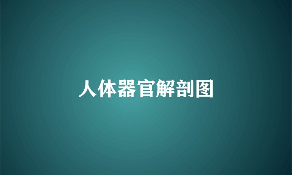 人体器官解剖图