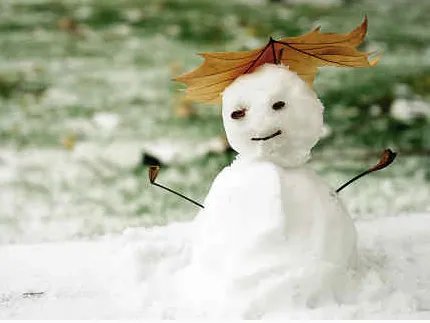 安徽暴雪已致4人死亡了吗?