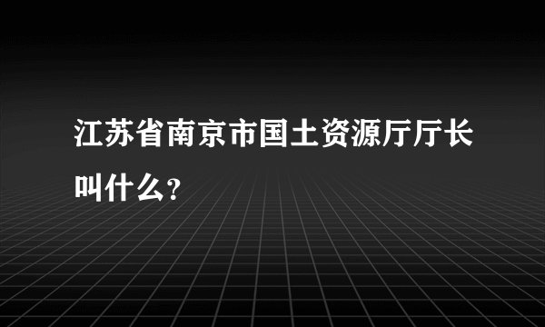 江苏省南京市国土资源厅厅长叫什么？