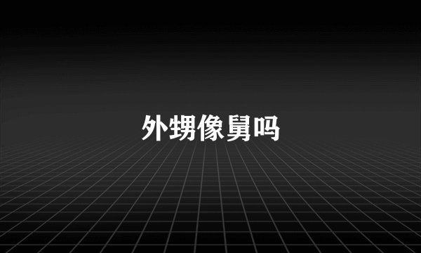 外甥像舅吗