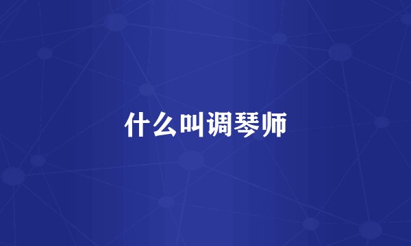什么叫调琴师