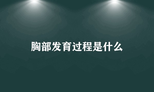 胸部发育过程是什么