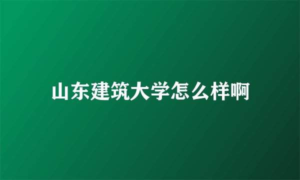 山东建筑大学怎么样啊