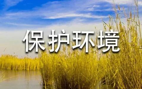 保护环境的标语
