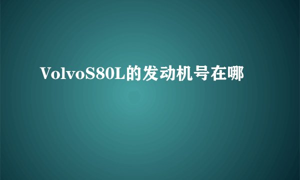 VolvoS80L的发动机号在哪